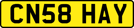 CN58HAY