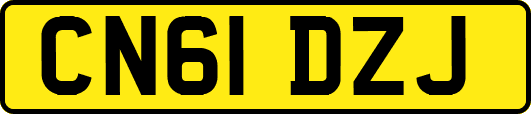 CN61DZJ