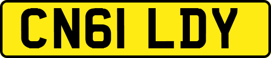 CN61LDY