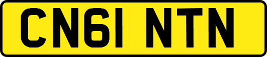 CN61NTN