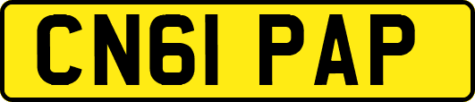 CN61PAP