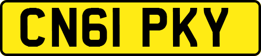 CN61PKY