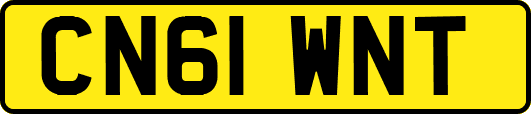 CN61WNT