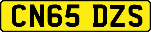 CN65DZS