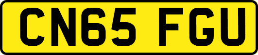 CN65FGU