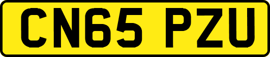 CN65PZU