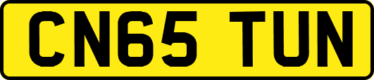CN65TUN