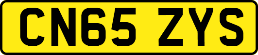 CN65ZYS