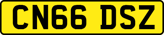 CN66DSZ