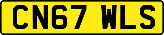 CN67WLS