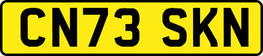 CN73SKN