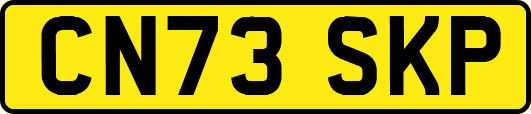 CN73SKP