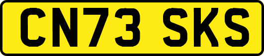 CN73SKS
