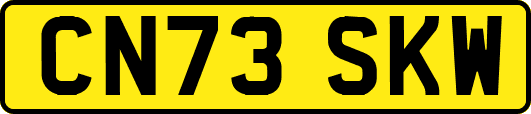 CN73SKW