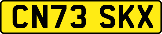 CN73SKX
