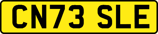 CN73SLE