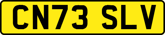 CN73SLV