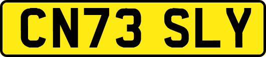 CN73SLY