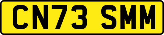 CN73SMM