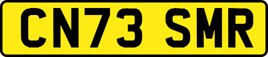 CN73SMR