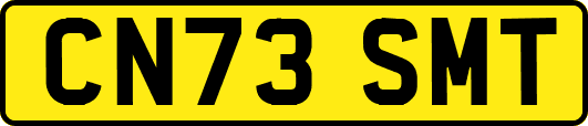 CN73SMT