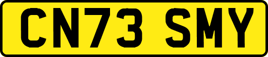 CN73SMY
