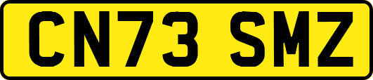 CN73SMZ