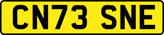 CN73SNE