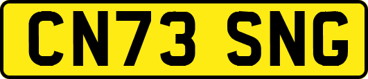 CN73SNG