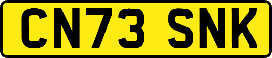 CN73SNK