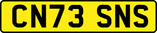 CN73SNS