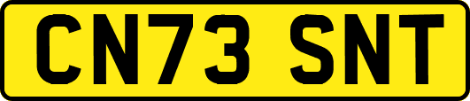 CN73SNT