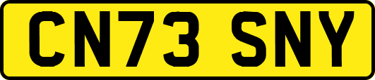 CN73SNY