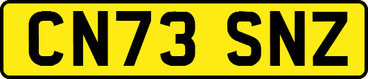 CN73SNZ