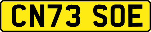 CN73SOE