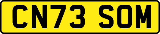 CN73SOM