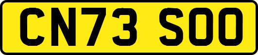CN73SOO