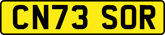 CN73SOR