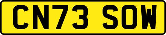 CN73SOW