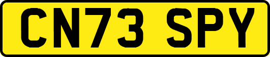 CN73SPY