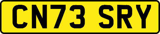 CN73SRY