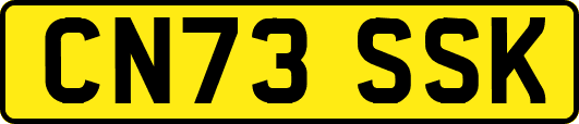 CN73SSK