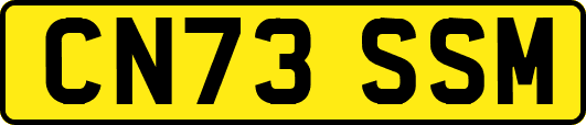CN73SSM