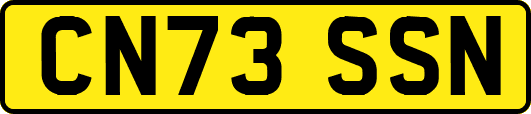 CN73SSN