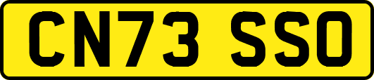 CN73SSO