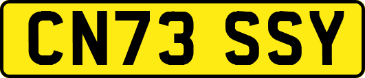 CN73SSY