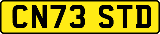 CN73STD