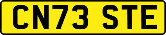 CN73STE
