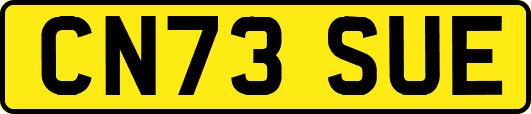 CN73SUE