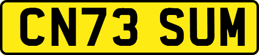 CN73SUM